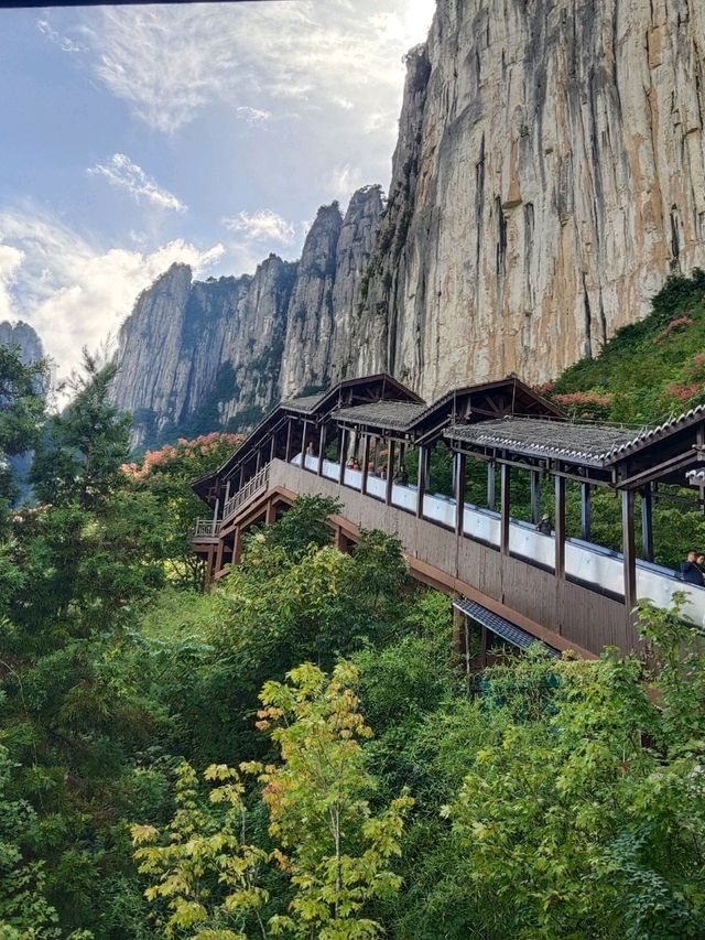 📍 中國最美峽谷！恩施大峽谷真的震撼到哭