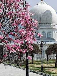 Hazratbal Masjid
