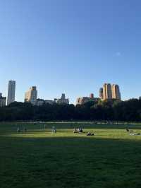 5 Days in NY (low budget ver.)