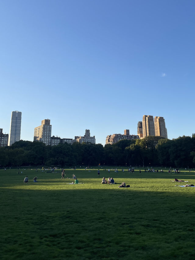 5 Days in NY (low budget ver.) 5 Days in NY (low budget ver.)