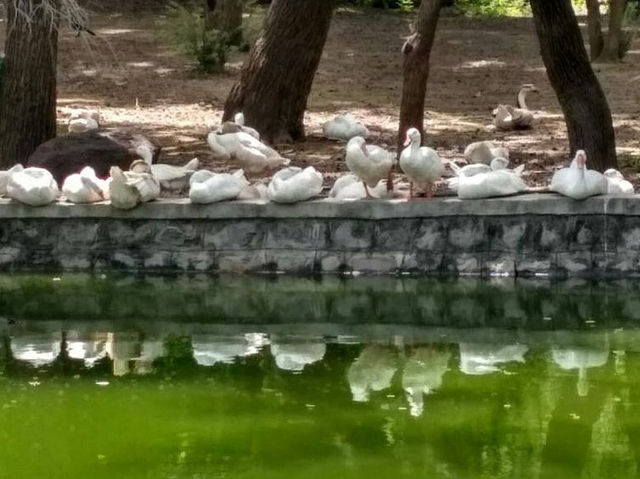 Lodhi Garden Lodhi Garden