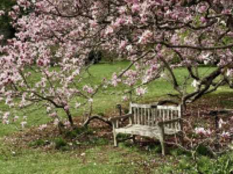 Winterthur Museum, Garden & Library