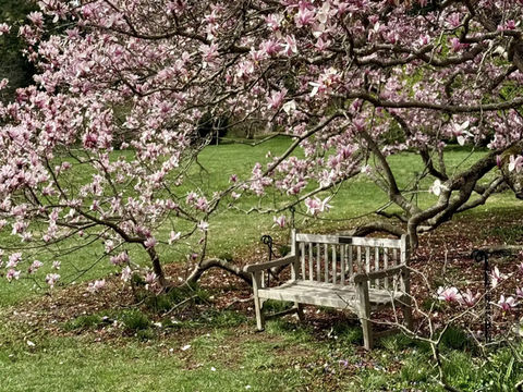 Winterthur Museum, Garden & Library Winterthur Museum, Garden & Library