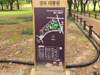 가을여행하기에 너무 좋은 경주 대릉원