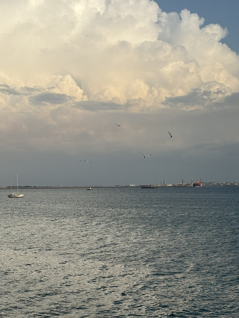 ダーウィンのおすすめ旅程2025年（11月更新）| Trip Moments