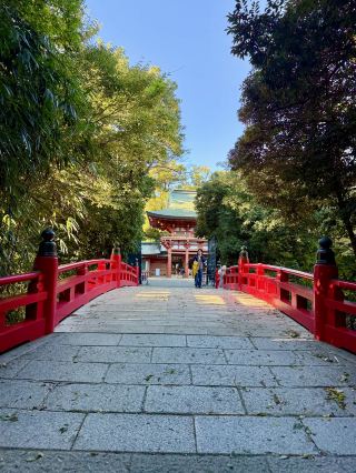 히카와 신사의 가을