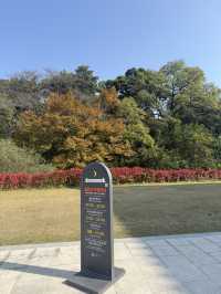 경주 가을여행 가시기 좋은 곳 추천드려요!!😆😆