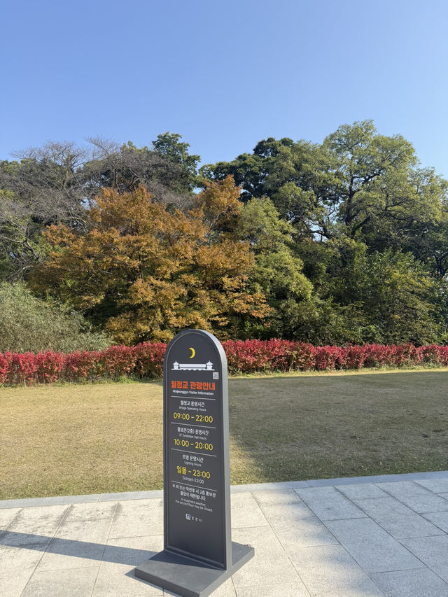 경주 가을여행 가시기 좋은 곳 추천드려요!!😆😆 경주 가을여행 가시기 좋은 곳 추천드려요!!😆😆