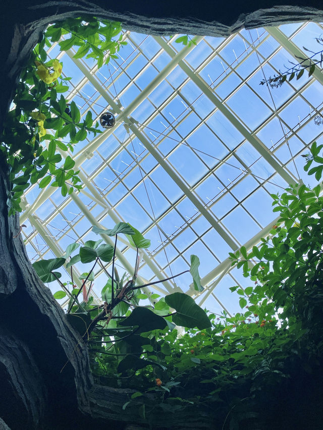 키치조지에서 우연히 찾은 도심 속 식물원 🌿 키치조지에서 우연히 찾은 도심 속 식물원 🌿