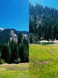 에메랄드빛 호수 위로 솟아오른 나무들의 신비로움