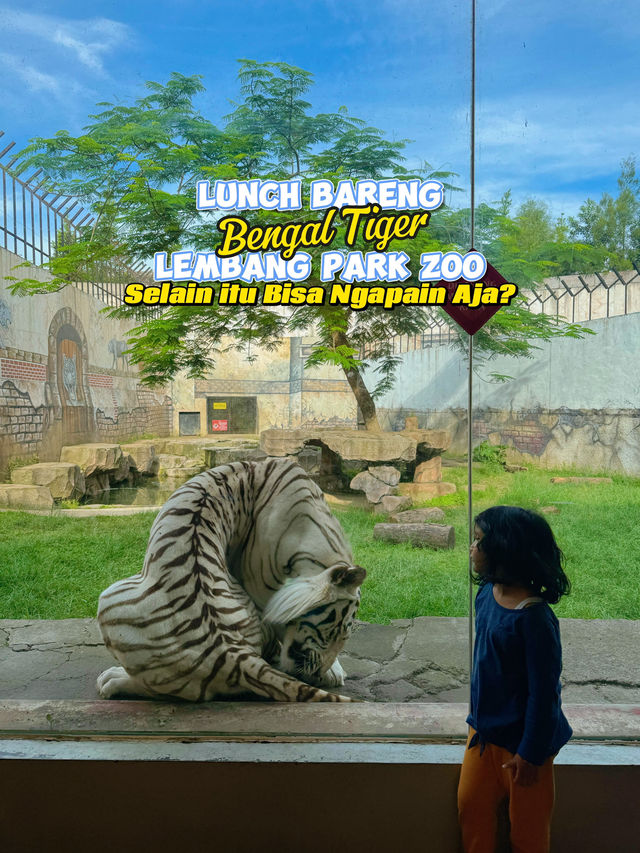 Budget Main di Lembang Park Zoo