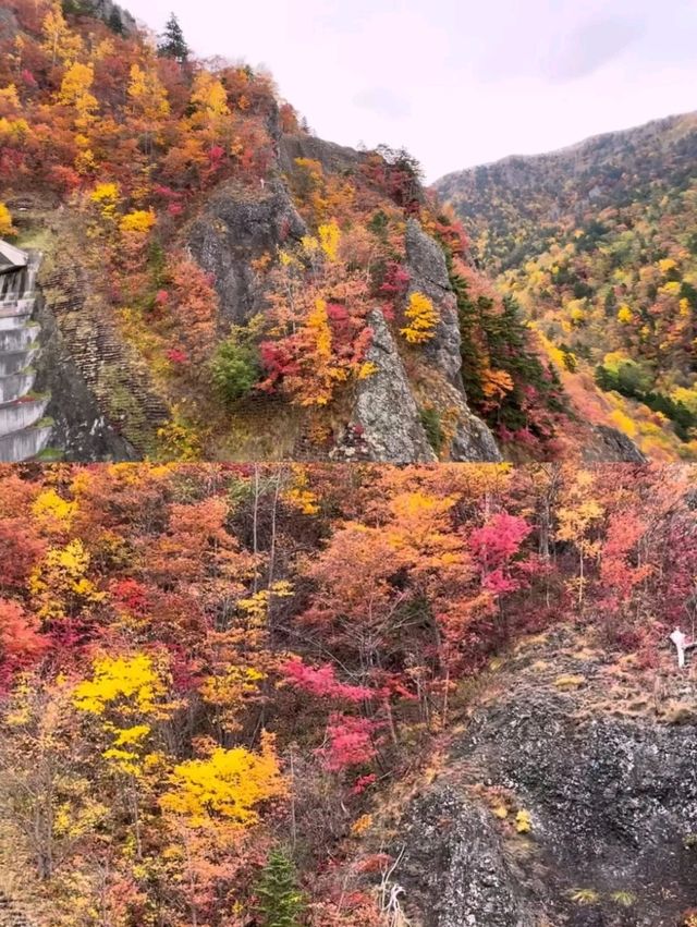 🍁札幌必打卡！深秋豐平峽水庫紅葉絕景全攻略