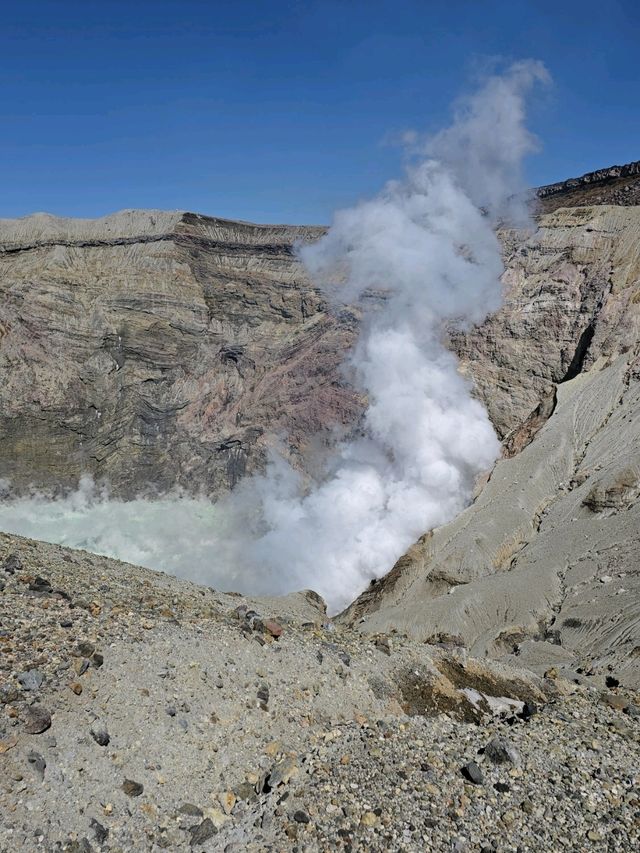 Fukuoka 7 วัน Feburary 2025 ขากลับแวะโฉบเซี่ยงไฮ้