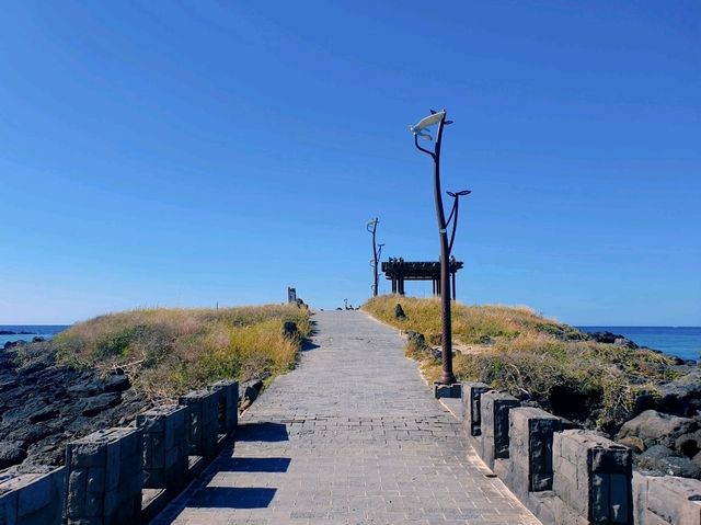푸른 바다와 산이 어우러진 곳 📍제주도 푸른 바다와 산이 어우러진 곳 📍제주도