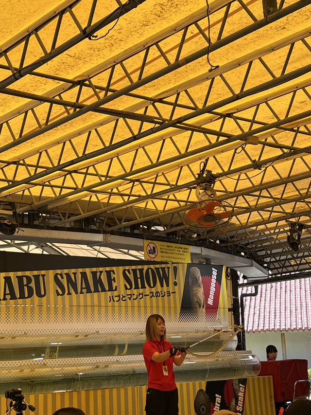 🇯🇵沖繩玉泉洞 × 沖繩世界王國村|走進神秘地底與琉球文化的一天 🇯🇵沖繩玉泉洞 × 沖繩世界王國村|走進神秘地底與琉球文化的一天