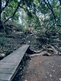 A Scenic Coastal Haven with Calm Waters and Open Horizons