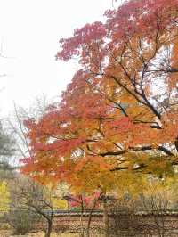 Fall for Korean Folk Village 🍂🎭