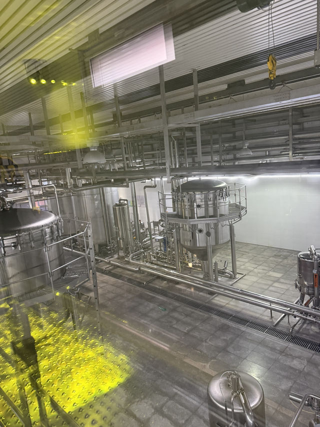 포토존 천국! 칭다오 맥주박물관 포토존 천국! 칭다오 맥주박물관