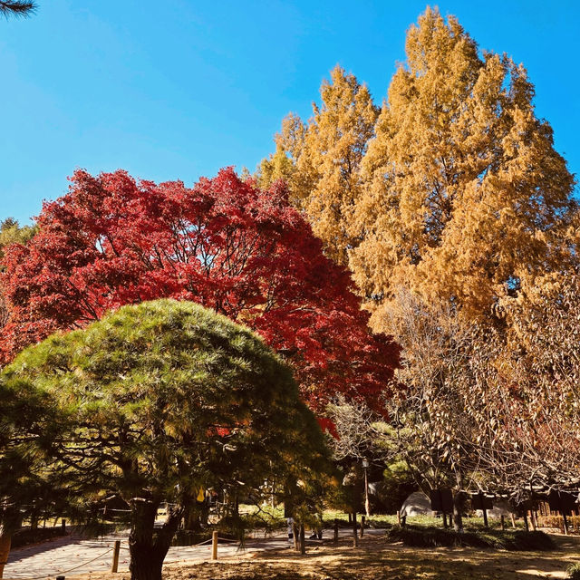 Autumn Foliage Framing the Presidential Villa Autumn Foliage Framing the Presidential Villa