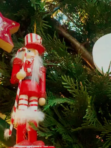 Flower Dome in Singapore is unbelievably