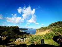 🎄 Festive Escape: Relax at Cat Nose Head