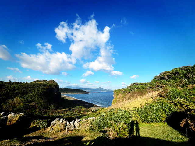 🎄 Festive Escape: Relax at Cat Nose Head 🎄 Festive Escape: Relax at Cat Nose Head