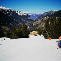 Scenic Ski Escape🗻