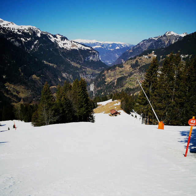 Scenic Ski Escape🗻 Scenic Ski Escape🗻