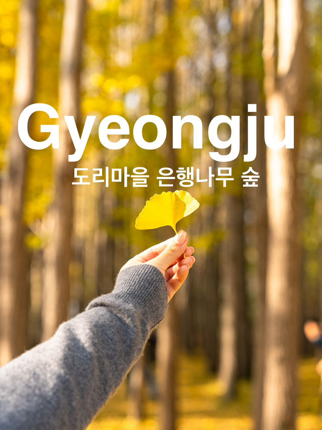 ๊ฒฝ์ฃผ ๋๋ฆฌ๋ง์ ์ํ๋๋ฌด ์ฒ ๊ฒฝ์ฃผ ๋๋ฆฌ๋ง์ ์ํ๋๋ฌด ์ฒ