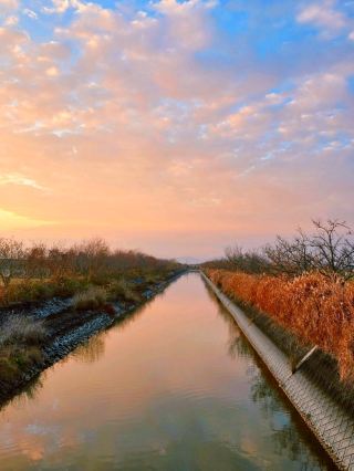ชมภาพบางส่วนของพื้นที่ราบน้ำขึ้นน้ำลงที่ใหญ่ที่สุดของญี่ปุ่น! ทริปพักผ่อนเพื่อเยียวยาจิตใจ ณ ศูนย์บริการนักท่องเที่ยวพื้นที่ราบน้ำขึ้นน้ำลงฮิกาชิโยกะ จังหวัดซากะ 🦀🔭
