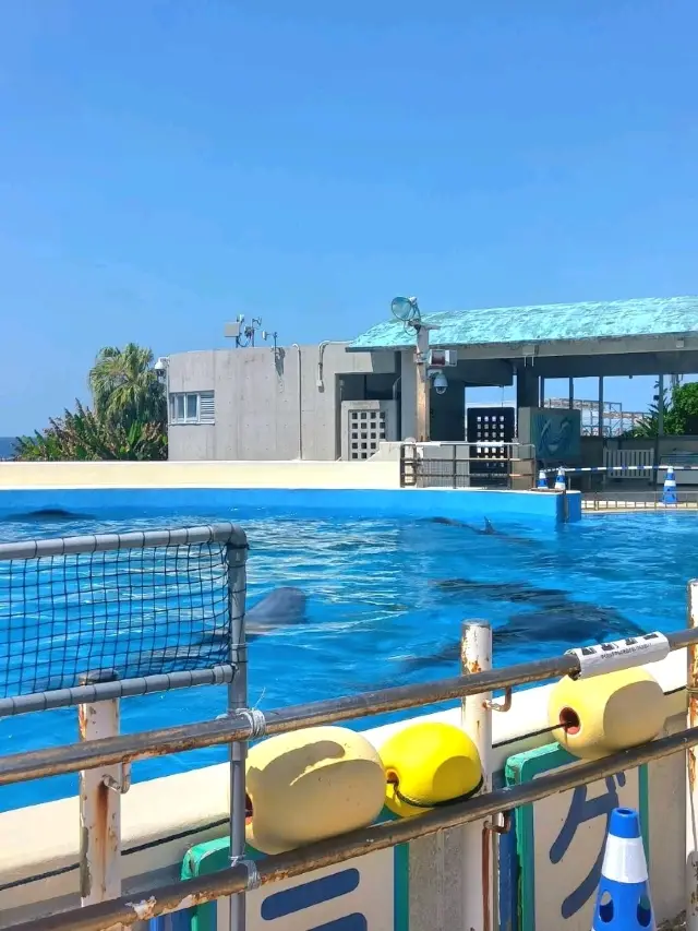 超特大スケール!! 沖縄美ら海水族館。