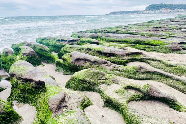 緑のコートを羽織ったような石槽🪨壮大な絶景。 | Trip.com 新北市