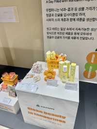 제주 감귤의 모든 것! 비 오는 날 가기 좋은 감귤박물관