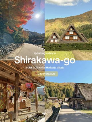 Everyone talks about Shirakawa-go in the winter, but have you seen it framed by fiery red maples and golden rice fields? 🍁🌾
Autumn in this UNESCO World Heritage site looks like a living watercolor painting. If you want to skip the massive winter crowds and experience the village at its most peaceful, October and November are the golden months.
Save this mini-transit and photo guide for your autumn Japan trip! 👇

HOW TO GET THERE
Shirakawa-go is nestled in the Gifu mountains, and because there's no direct train station, taking a highway bus is the easiest way:

From Takayama: The most popular route! Jump on the Nohi Bus from Takayama Station. It’s a scenic 50-minute ride. (Pro-tip: Book your seats in advance via Japan Bus Online, especially during peak autumn!).

From Kanazawa: A direct highway bus takes about 1 hour and 15 minutes.

From Nagoya: You can take a direct bus (~3 hours) or take the JR train to Takayama first for a split journey.

Drop a 🍂 if Shirakawa-go is on your Japan bucket list!
#Shirakawago #JapanAutumn #Gifu #VisitJapan #AutumnInJapan #ChubuRegion #JapanTravelGuide #HiddenJapan #TravelTipsJapan #ExploreJapan