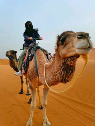 Sahara: the Morocco Desert Experience