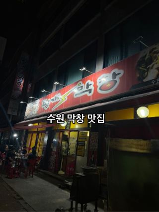 쫄깃한 생막창&오겹살에 멸치볶음 옛날도시락 조합! 수원 영화동 맛집 '벙개막창' 🥩🍱🔥