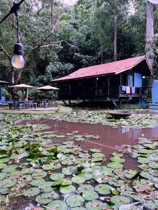 Slow Travel in Janda Baik — Where I Finally Let Time Slow Down