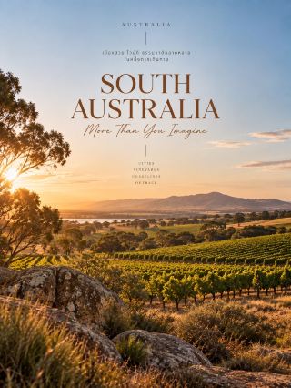 🇦🇺 澳洲旅遊指南 | 第 05 區
南澳州 — 靚城、美酒、超壯觀大自然 🍷🌿