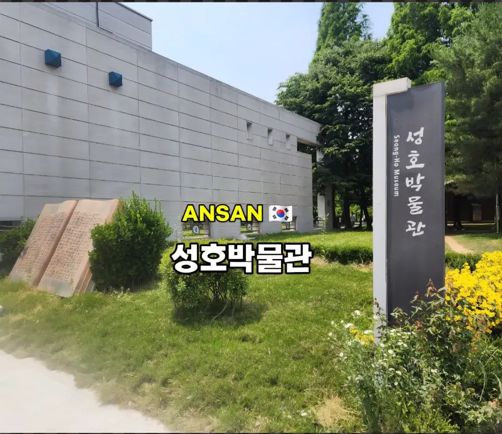 무료로 누리는 고품격 문화 산책! 🌳 안산 힐링 코스