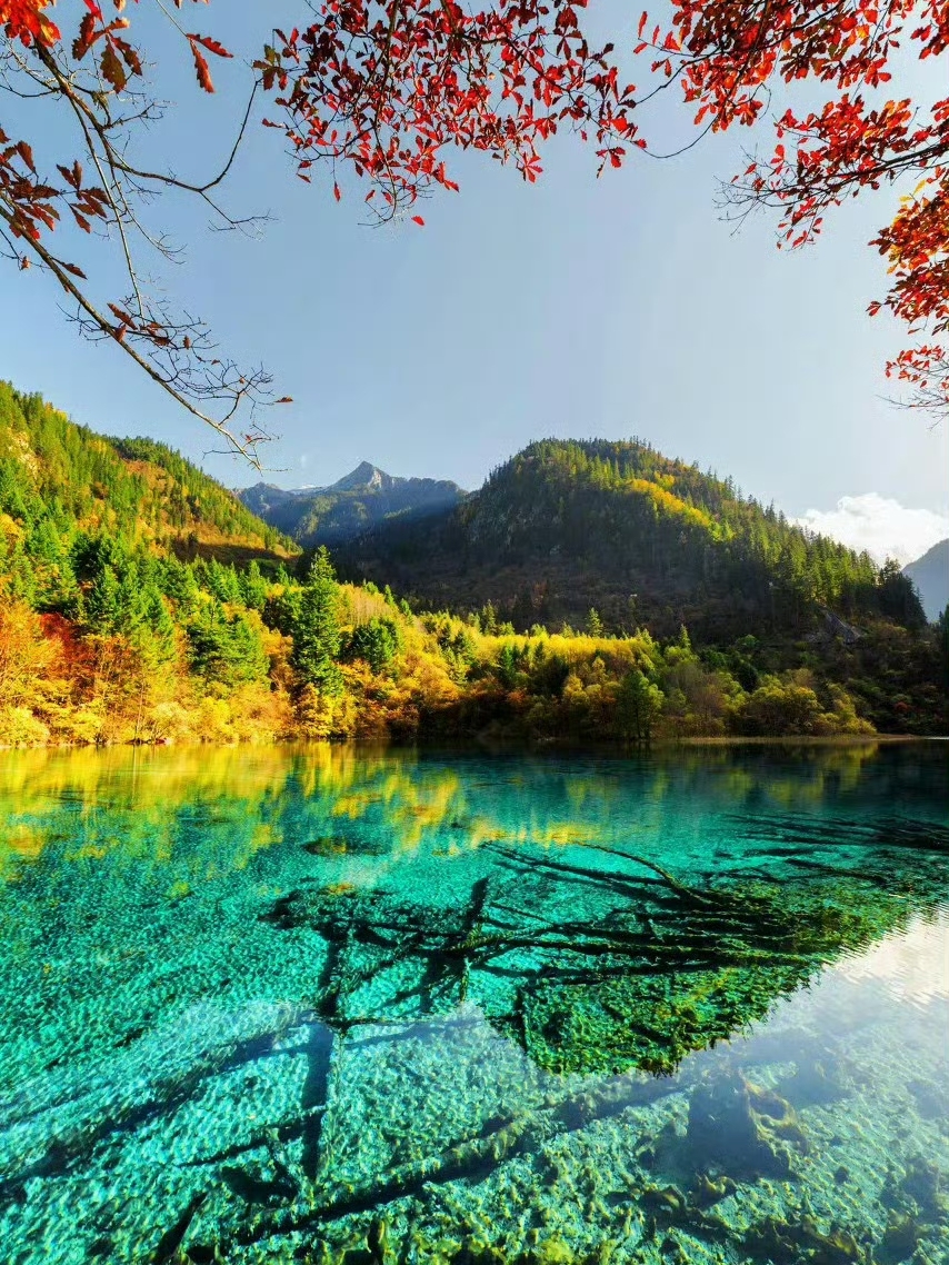🍂 Autumn in Jiuzhaigou | Nature at Its Most Beautiful