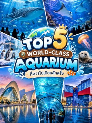 🐋 5 อันดับพิพิธภัณฑ์สัตว์น้ำระดับโลก✨📸🌊