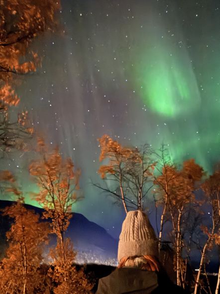 Абиско: место, где я впервые увидела северное сияние 🌌💚
