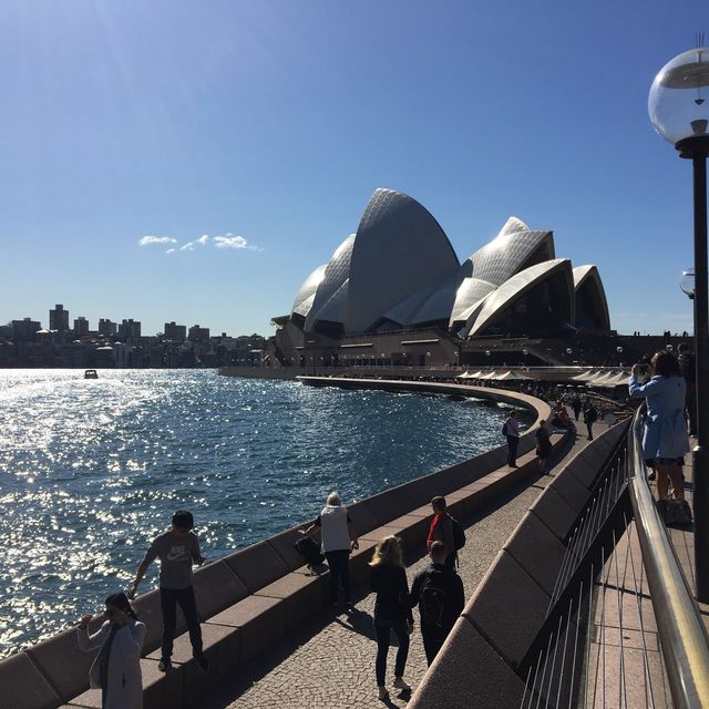 在渡輪上欣賞悉尼歌劇院的美景