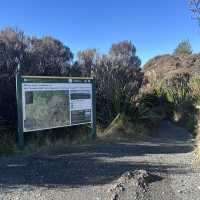 Tongariro National Park