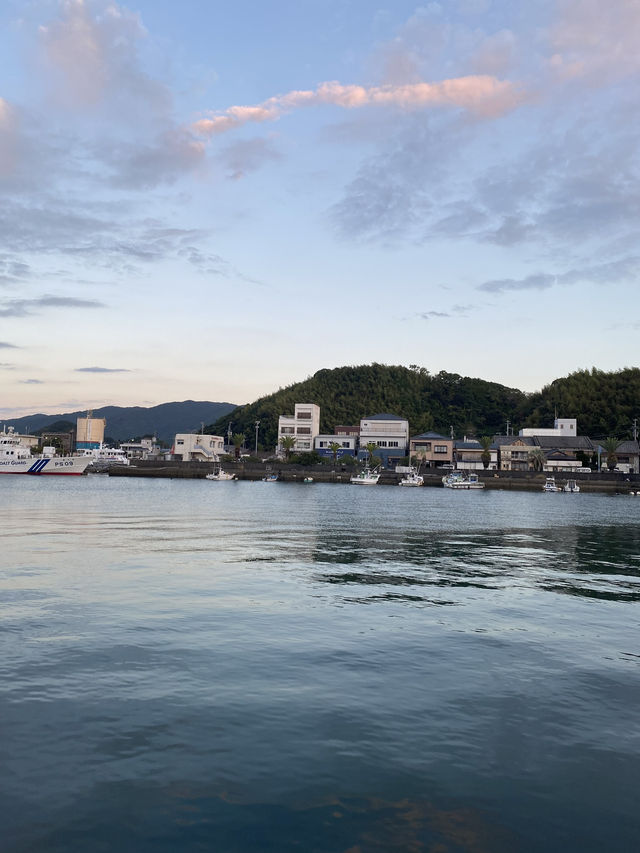 🐟高知の秘境アイランド🇯🇵【鵜来島（うぐるしま）】海に癒される旅