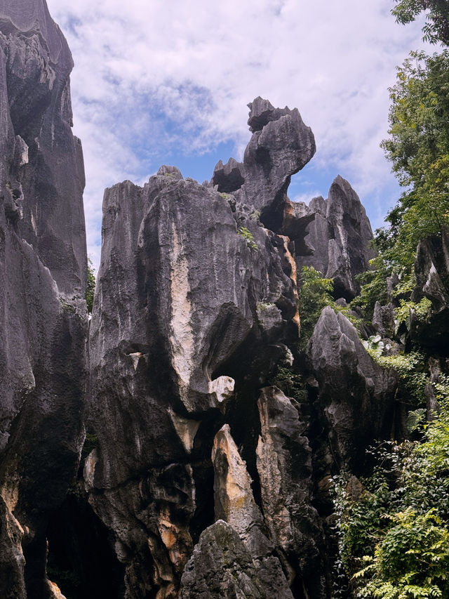 🌿 “Where Earth Dreamed in Stone”
