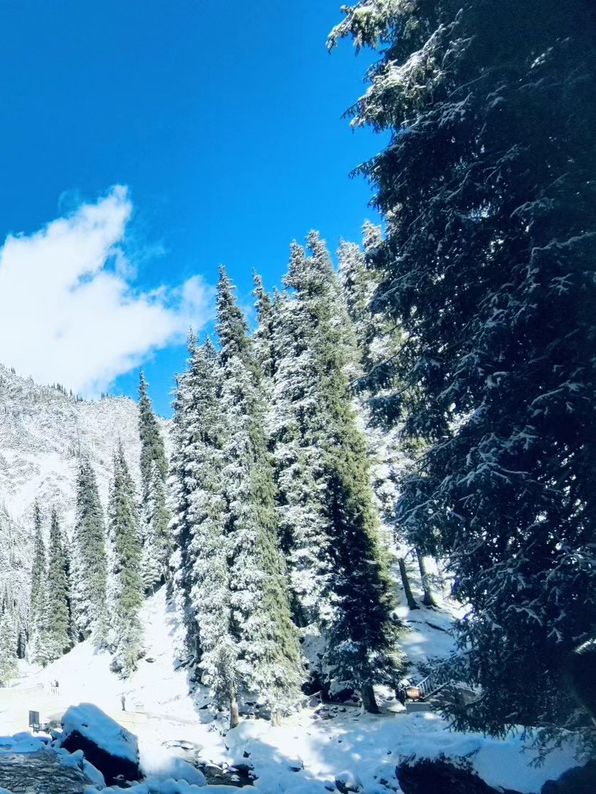 南山雪落時，我離開新疆