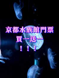 🪼人生清單＋1：京都水族館真的值得衝！ 