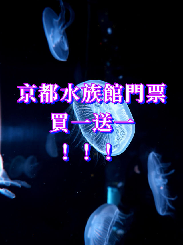 🪼人生清單＋1：京都水族館真的值得衝！ 