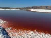 5 Must-See Spots of Bay Area in California